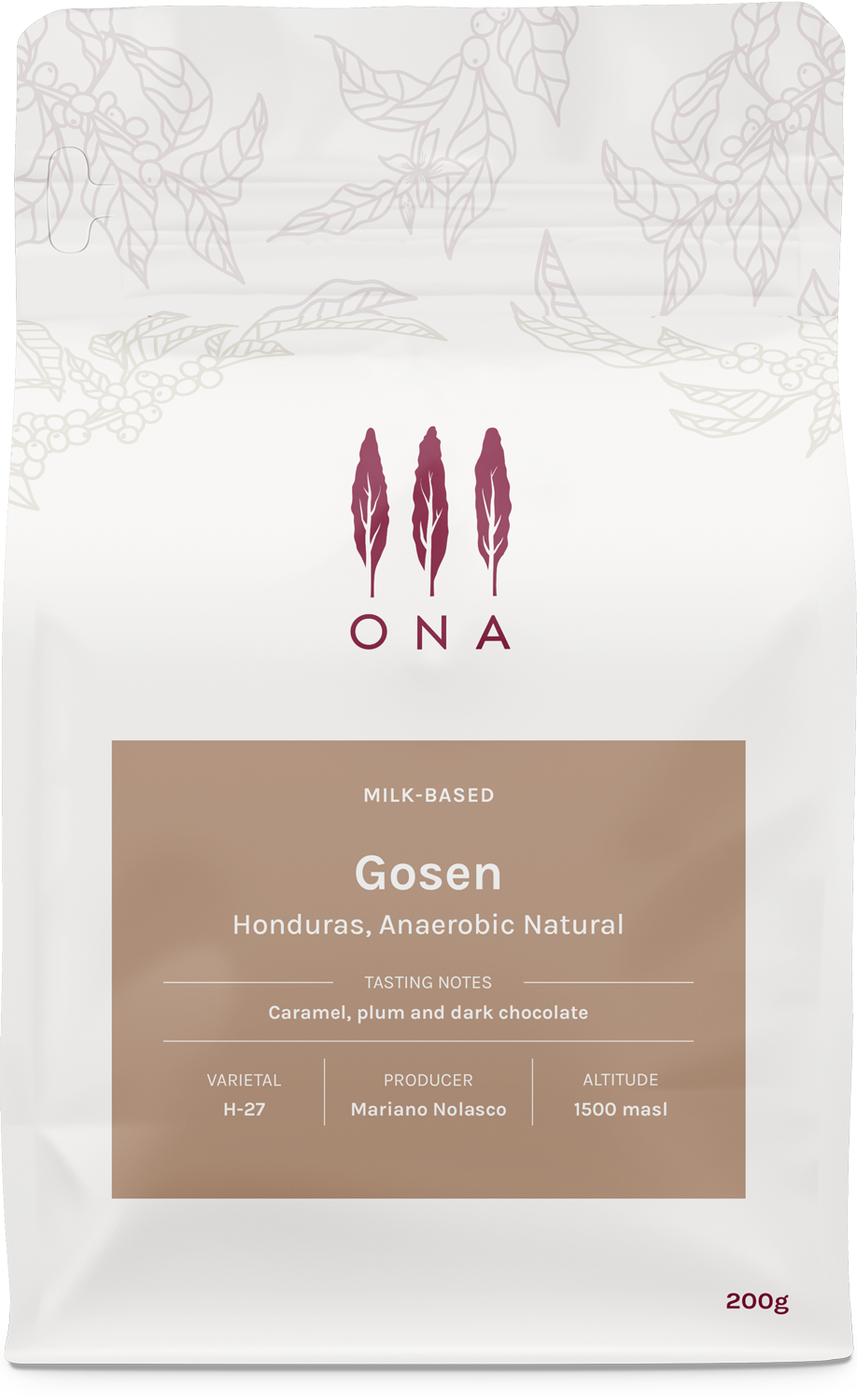 Gosen, Honduras, Anaerobic Natural from Ona Coffee