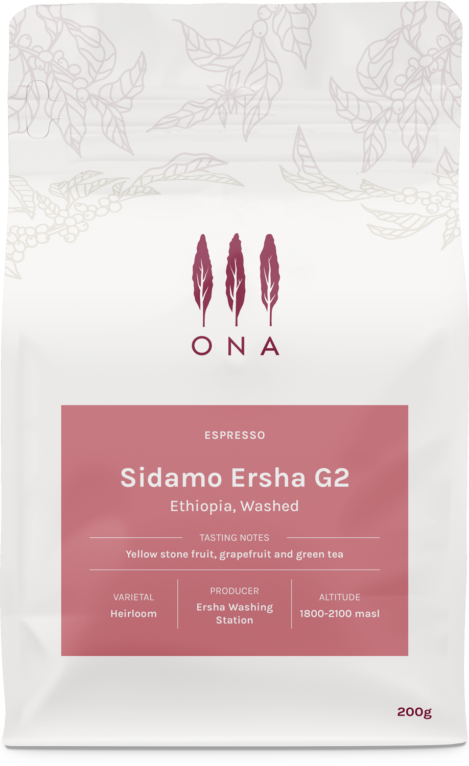 Sidamo Ersha G2, Ethiopia, Washed from Ona Coffee