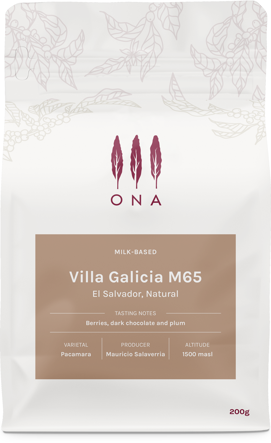 Villa Galicia M65, El Salvador, Natural from Ona Coffee