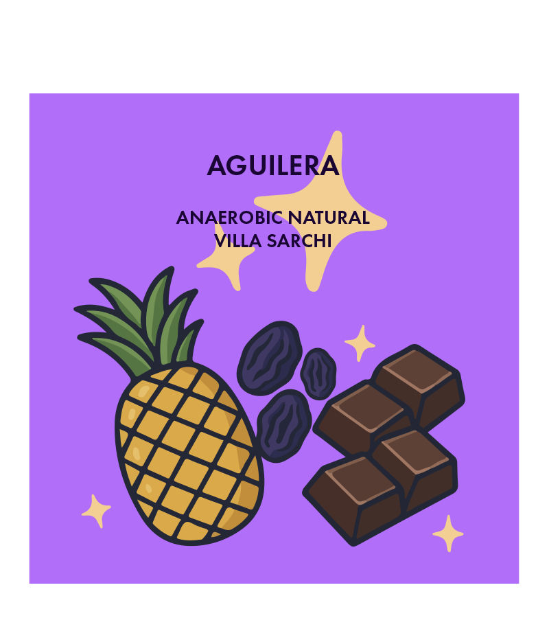 Aguilera, Anaerobic Natural, Costa Rica from Outpost Coffee Roasters