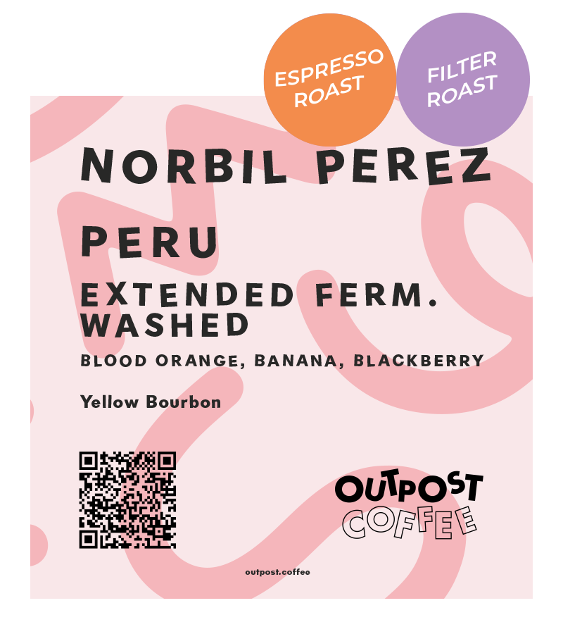 Norbil Perez, Extended Fermentation Washed, Peru from Outpost Coffee Roasters