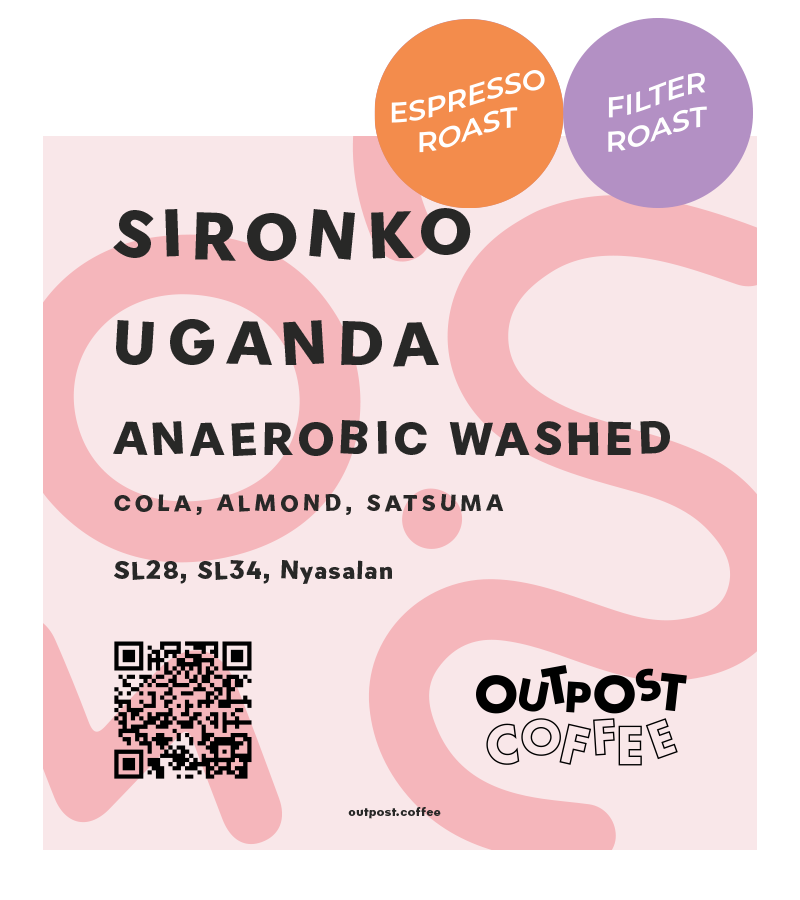 Sironko, Anaerobic Washed, Uganda from Outpost Coffee Roasters