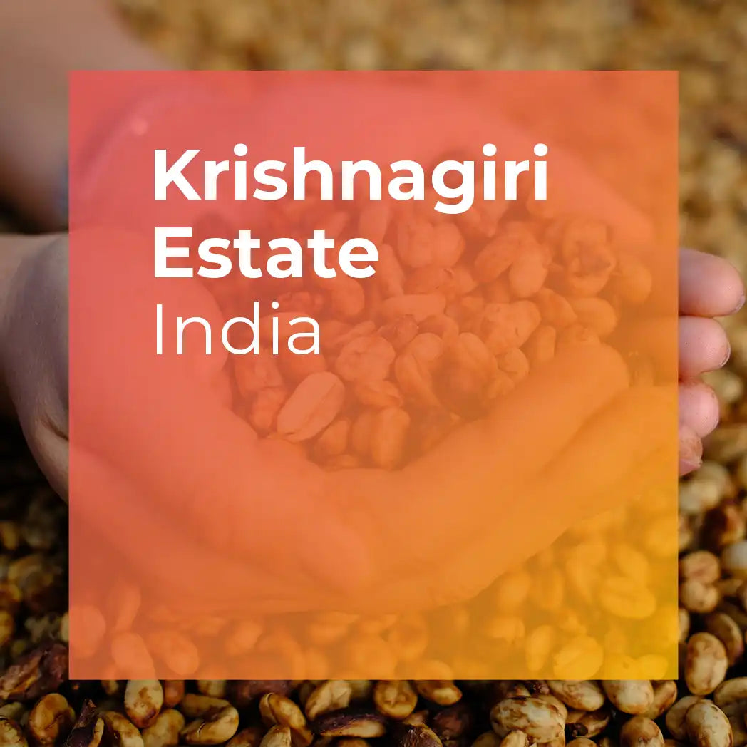 KRISHNAGIRI ESTATE, Honey Sun-dried from PLOT Roasting
