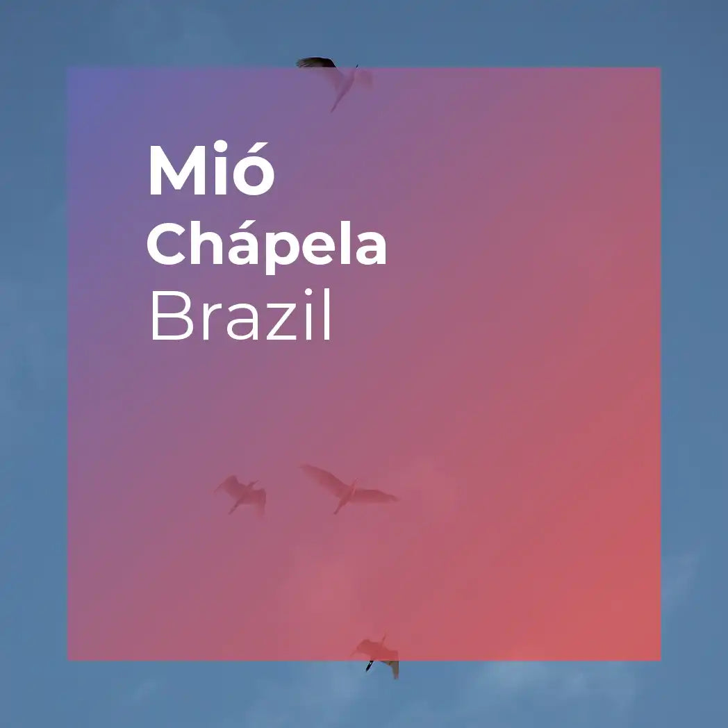 MIÓ, Chápela Yeast Fermentation Natural from PLOT Roasting