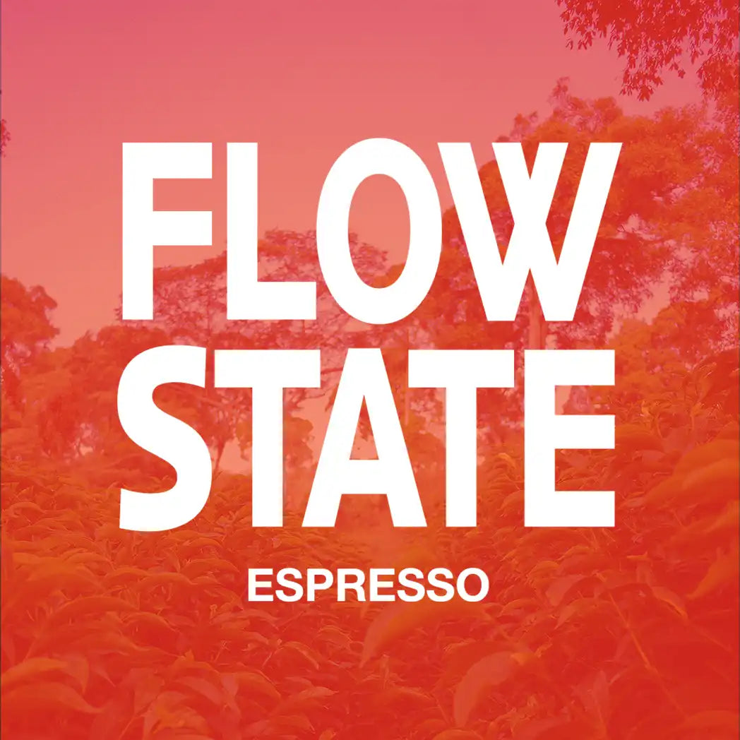 FLOW STATE Espresso from PLOT Roasting