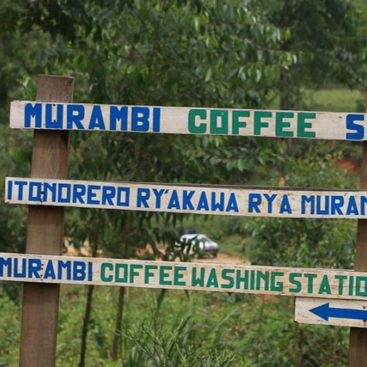 Burundi Natural Murambi from Revel Coffee