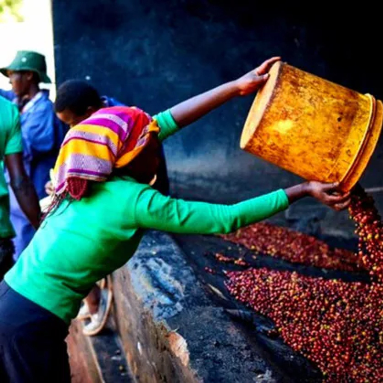 Kenya Baragwi Guama from Revel Coffee