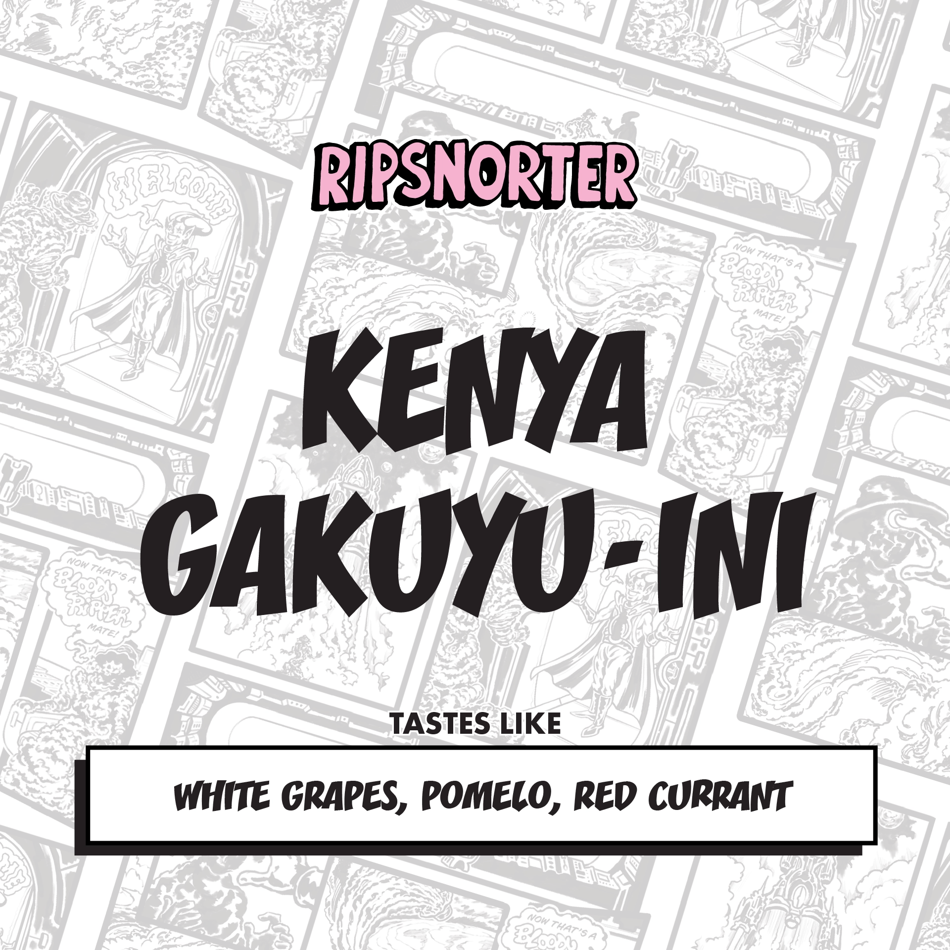 DBrC COMPULSORY COFFEE GAKUYU-INI | KENYA WASHED from Ripsnorter