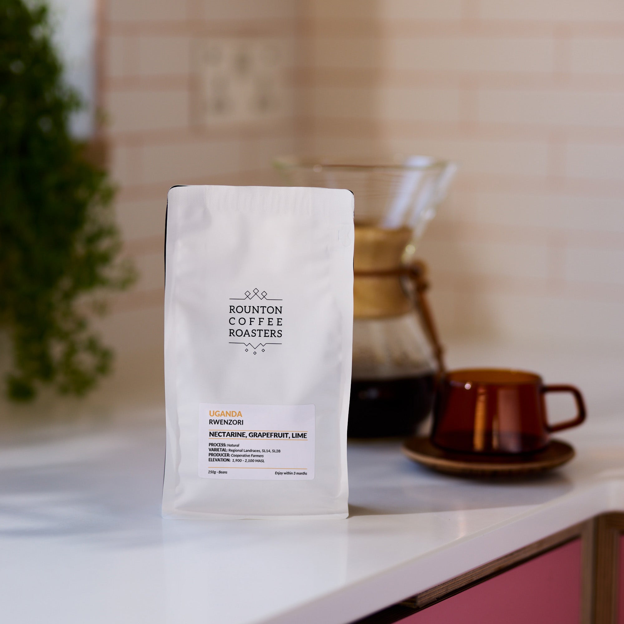Rwenzori from Rounton Coffee Roasters