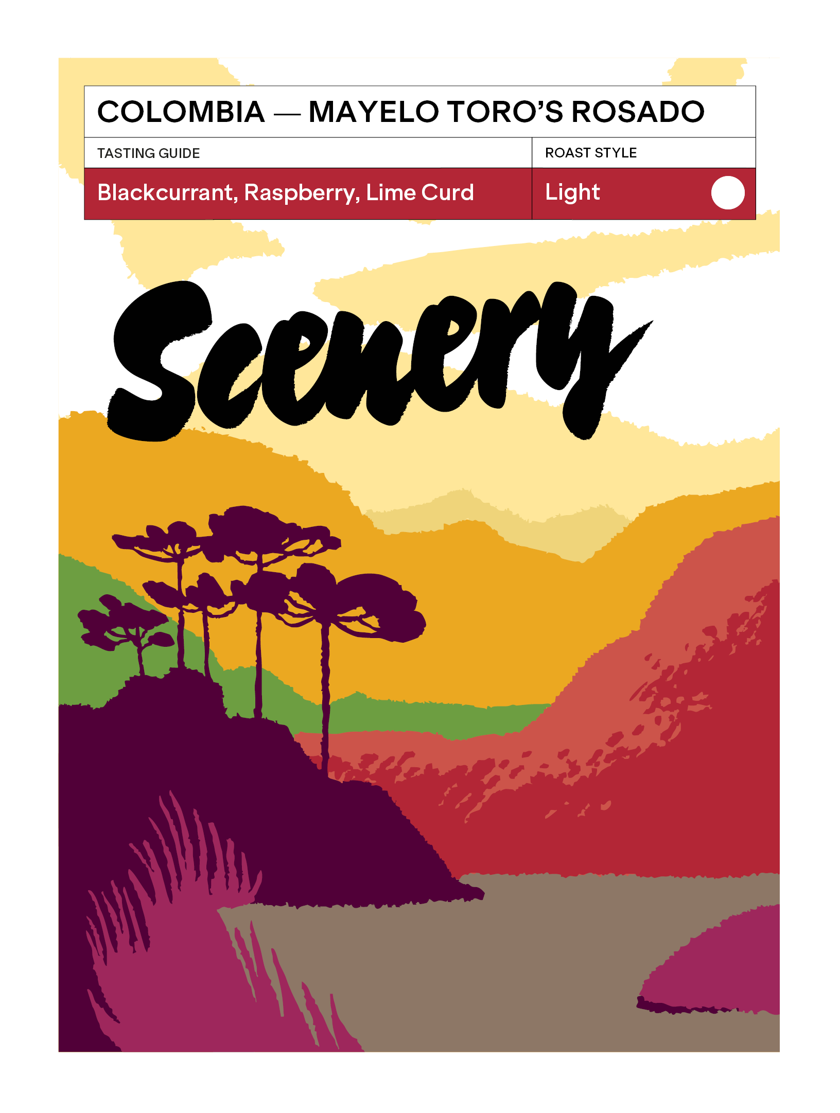 Colombia - Mayelo Toro's Rosado from Scenery Coffee