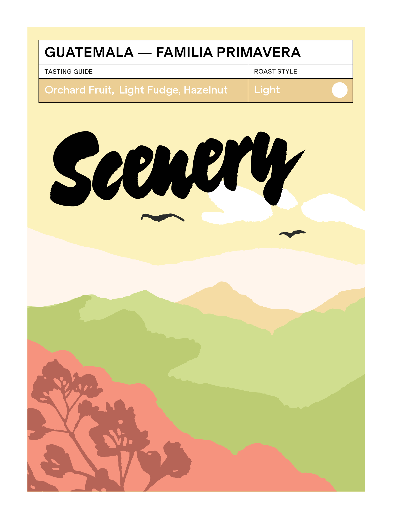 Guatemala - Familia Primavera [24/25] from Scenery Coffee