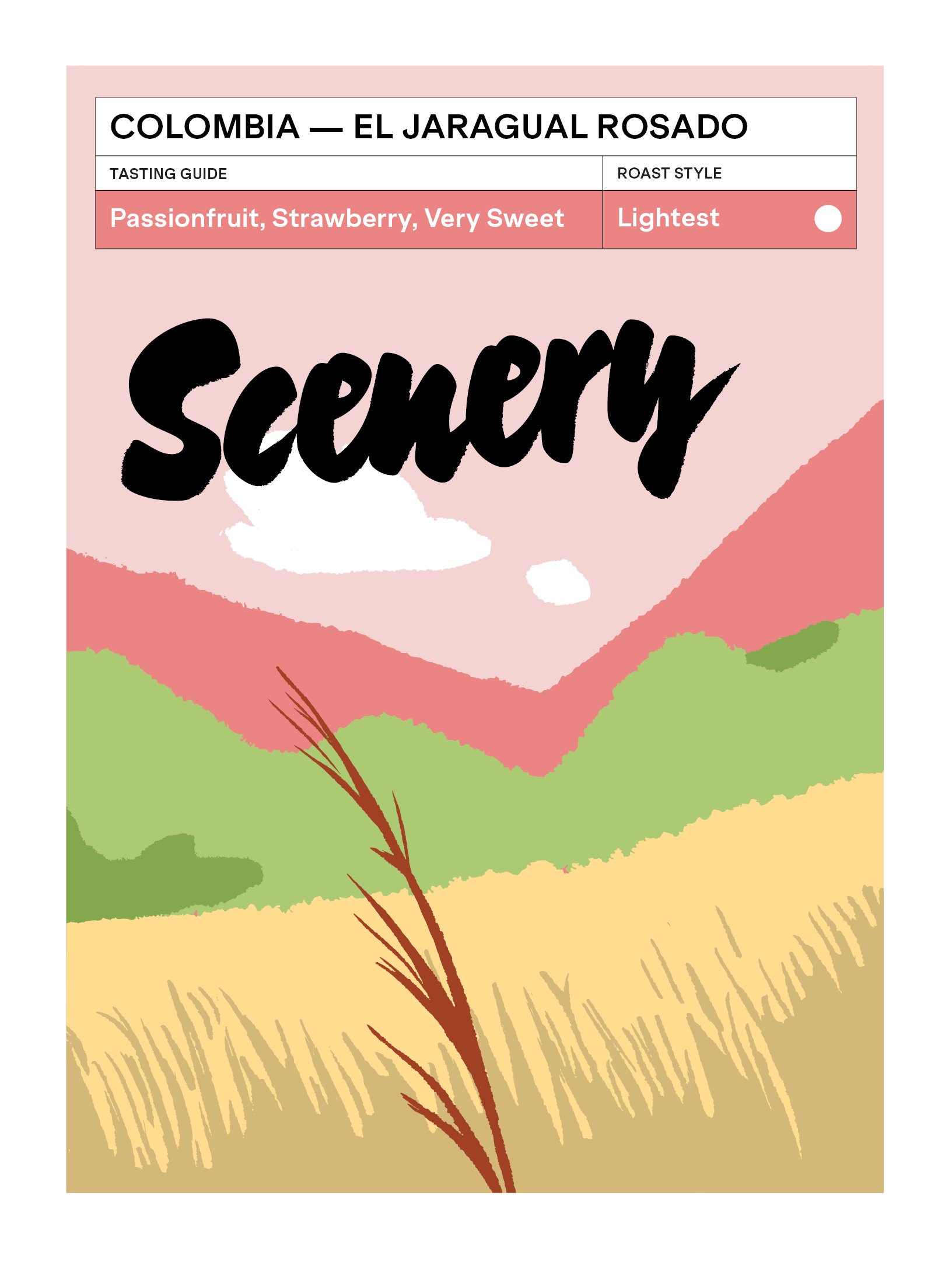 Colombia - El Jaragual Rosado from Scenery Coffee