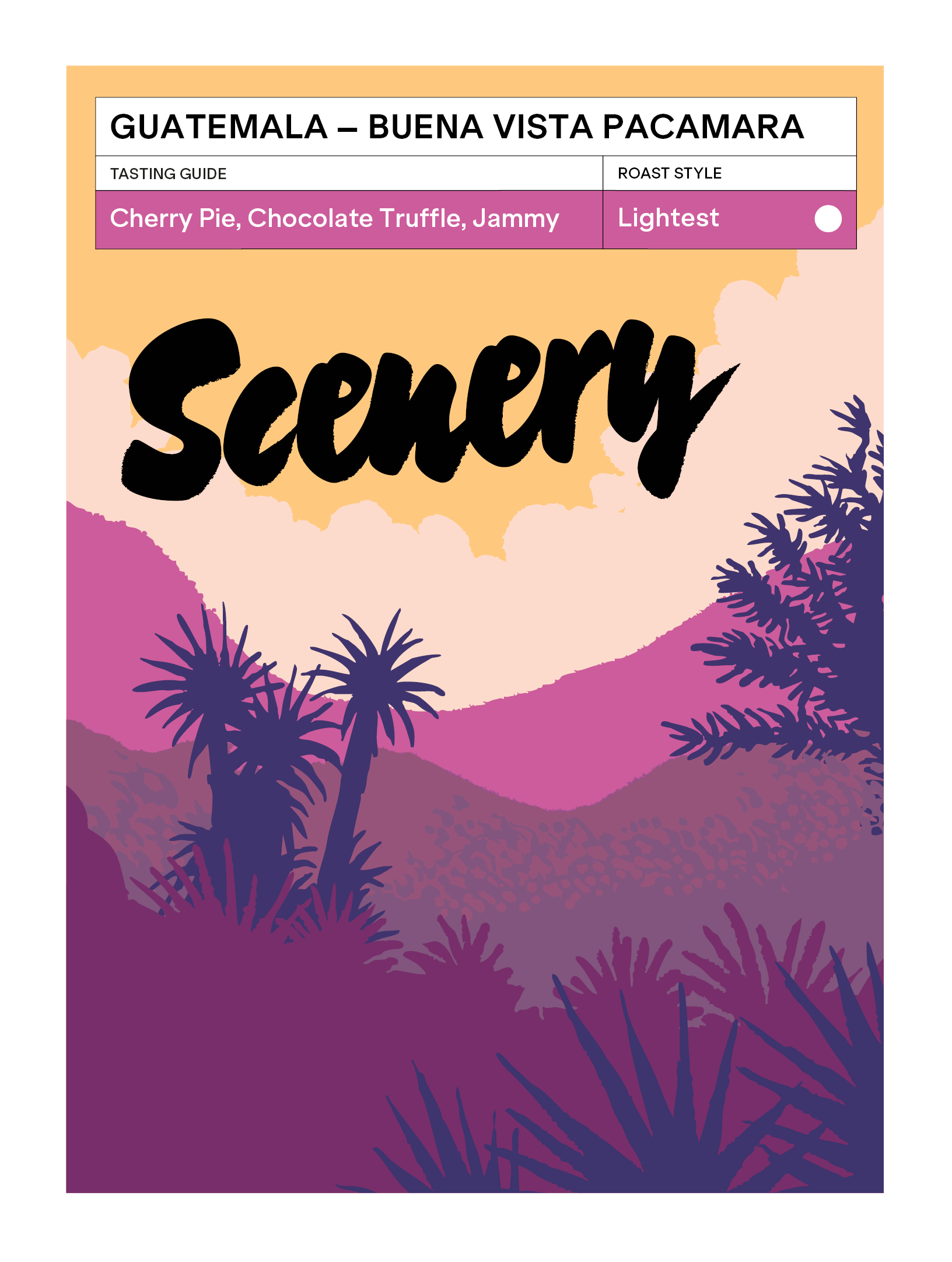 Guatemala - Fredy Orantes' Buena Vista Pacamara from Scenery Coffee