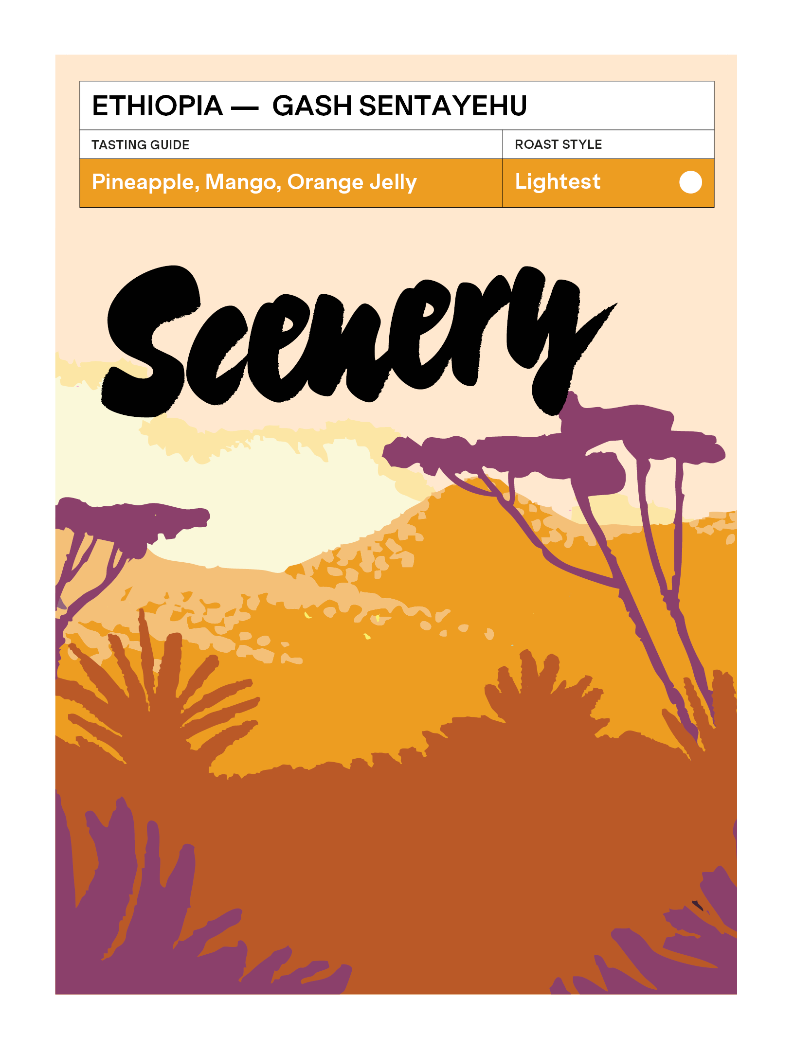 Gash Sentayehu Special Prep from Scenery Coffee