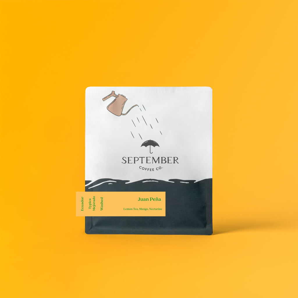 Juan Peña - Ecuador Washed Mejorado from September Coffee Company
