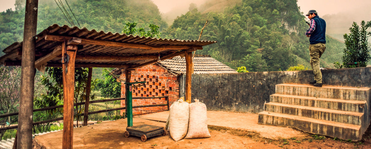 China Banka Natural from Skylark Coffee