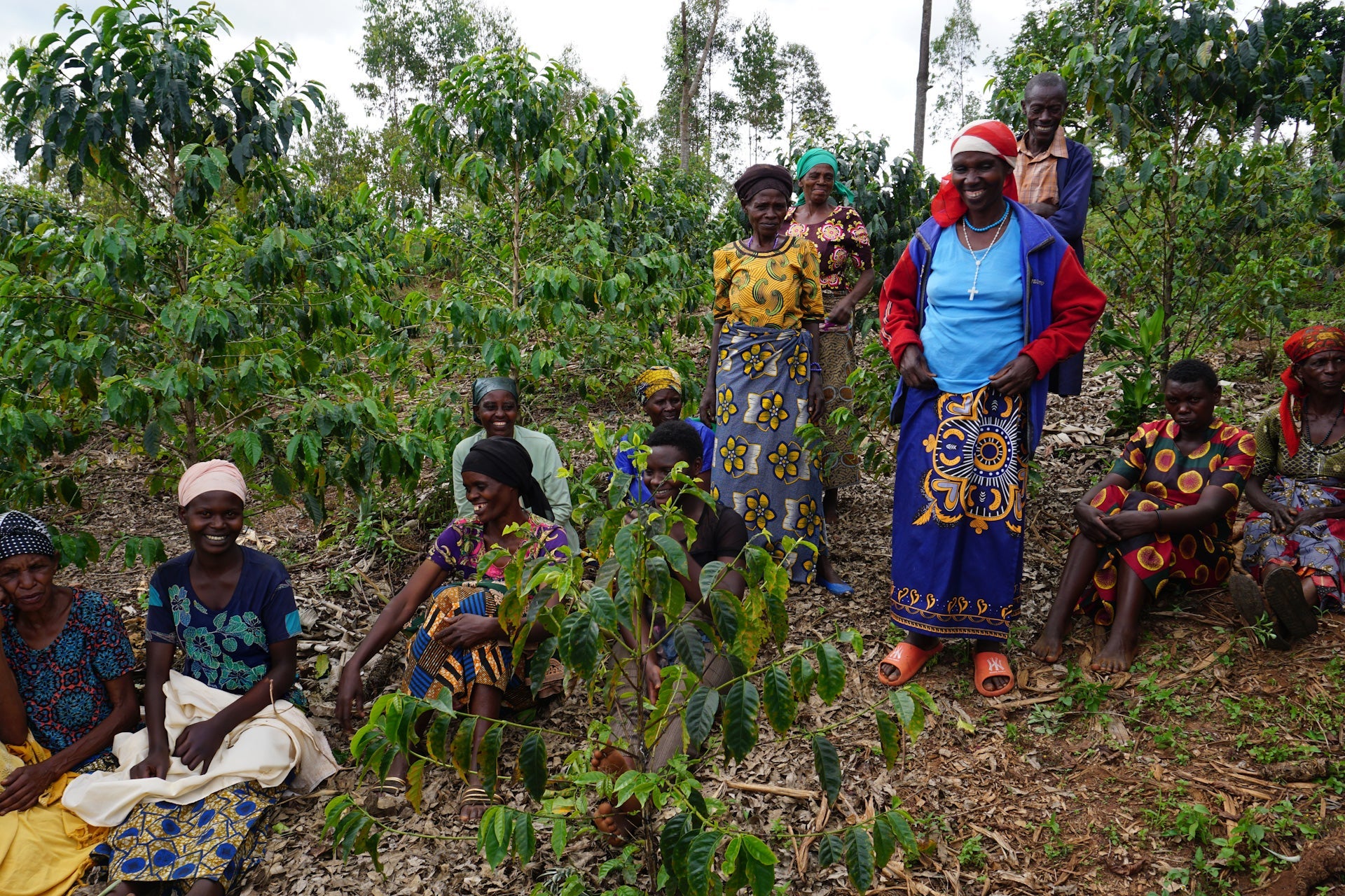 Rwanda Ituze Washed from Skylark Coffee