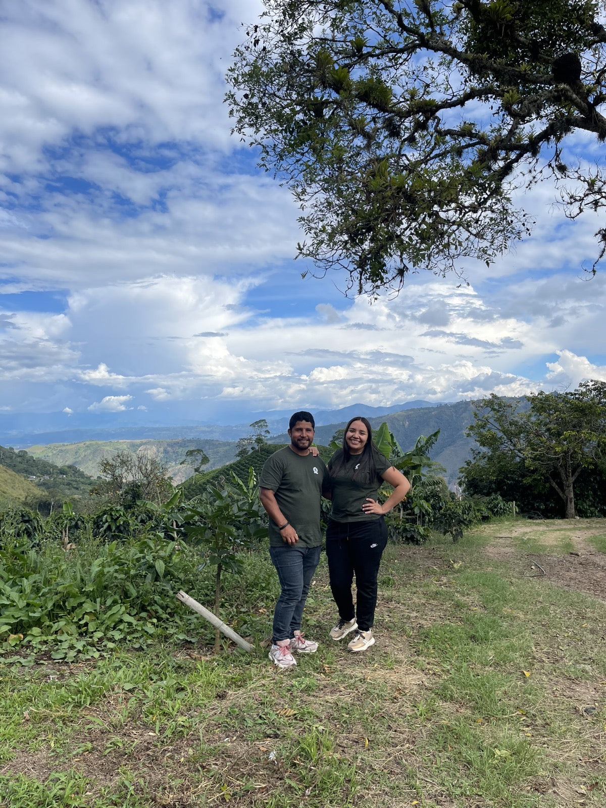 Colombia Edinson Argote Orange Bourbon from Skylark Coffee