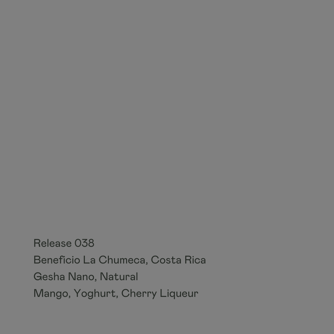 Beneficio La Chumeca, Gesha Nano Natural from Special Guests Coffee