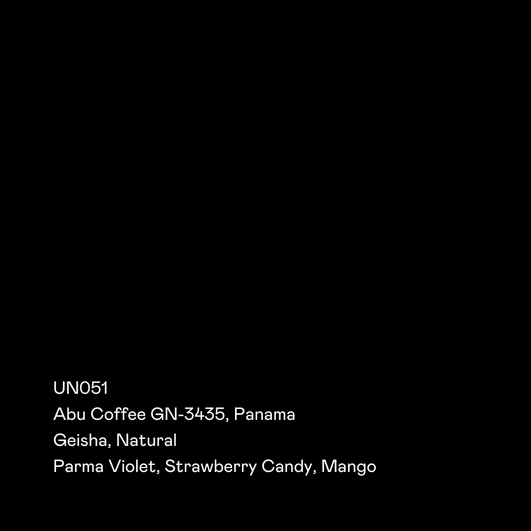 Abu GN-3435, Geisha Natural from Special Guests Coffee