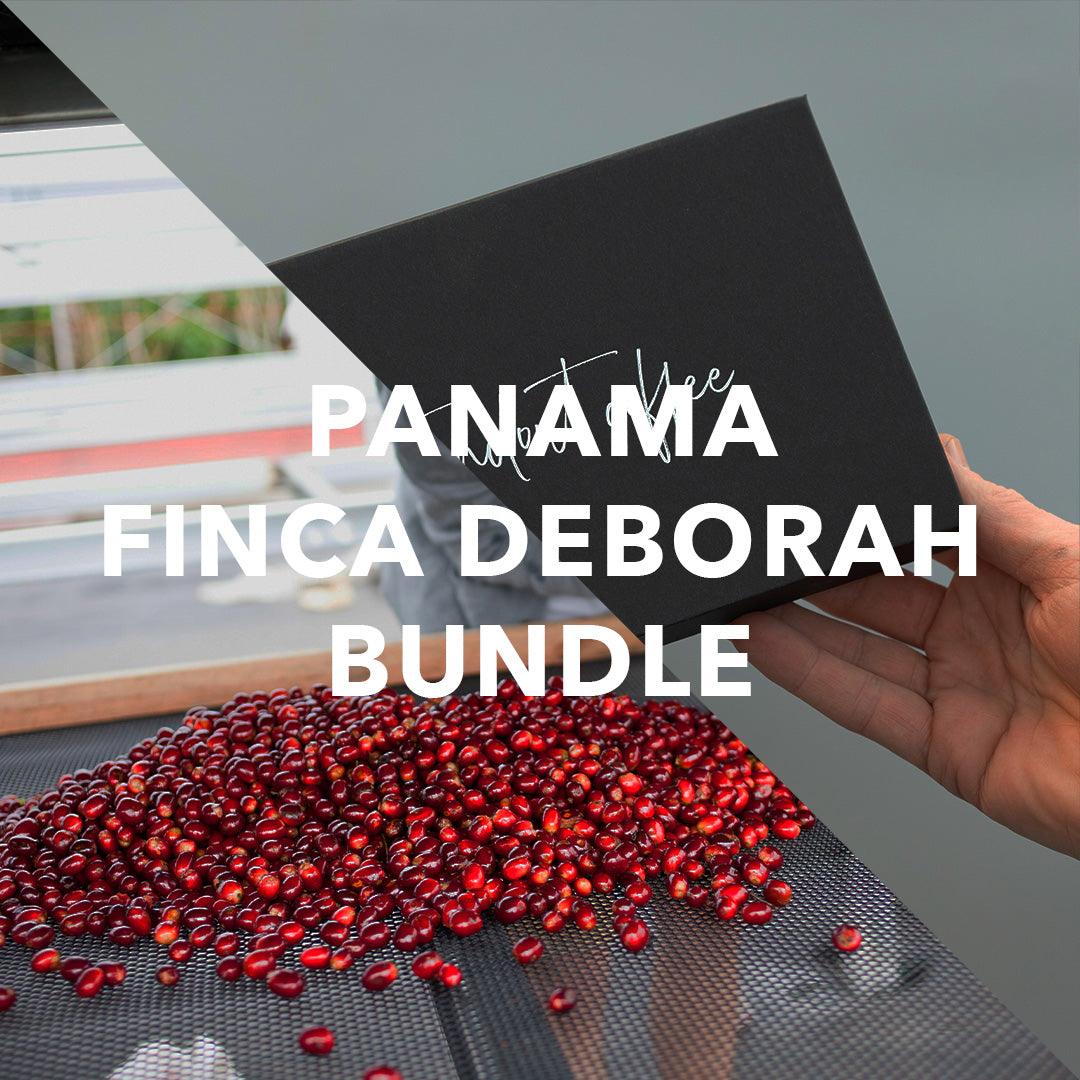 Savage Pairing – Echo & Vivid Gesha from Finca Deborah from Standout Coffee AB