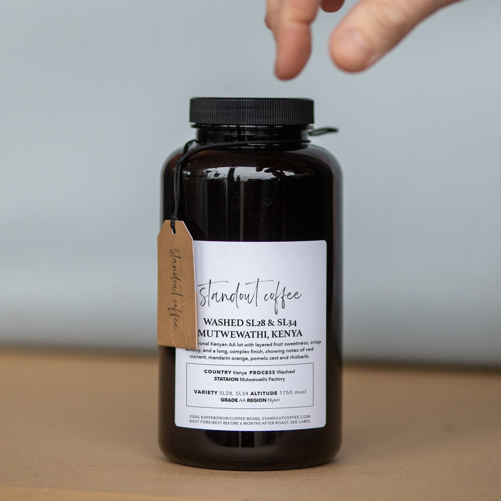 Washed SL28 & SL34 – Mutwewathi, Kenya from Standout Coffee AB