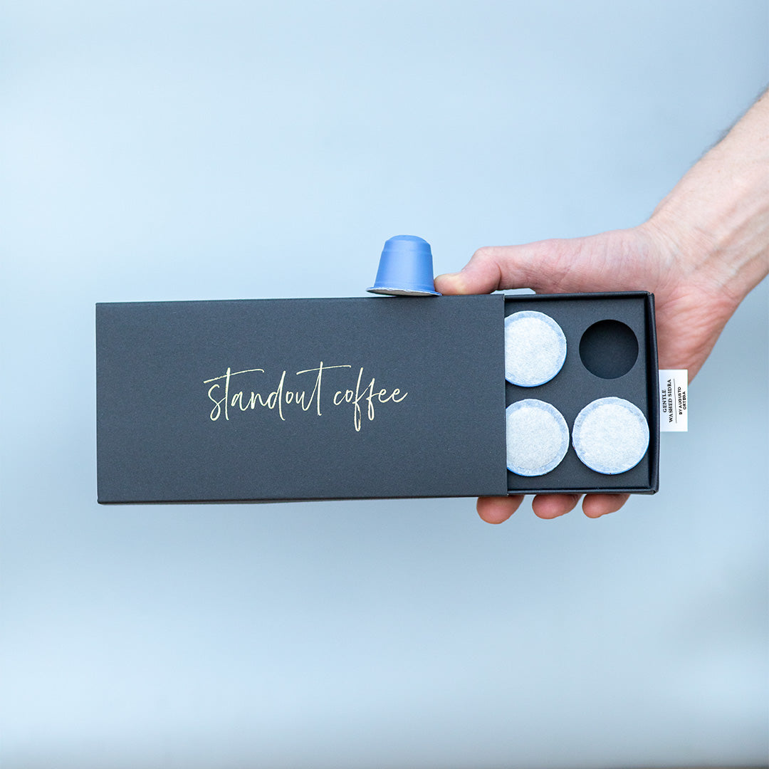 Gentle Washed Sidra by Augusto Ortega, Huila, Colombia from Standout Coffee AB