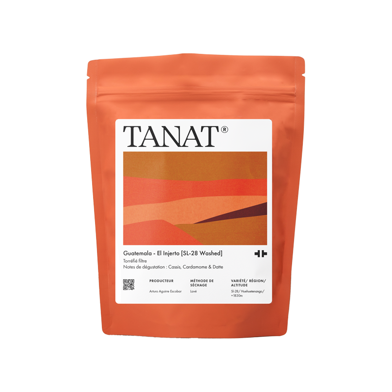 El Injerto [SL-28 Washed] from Tanat Coffee
