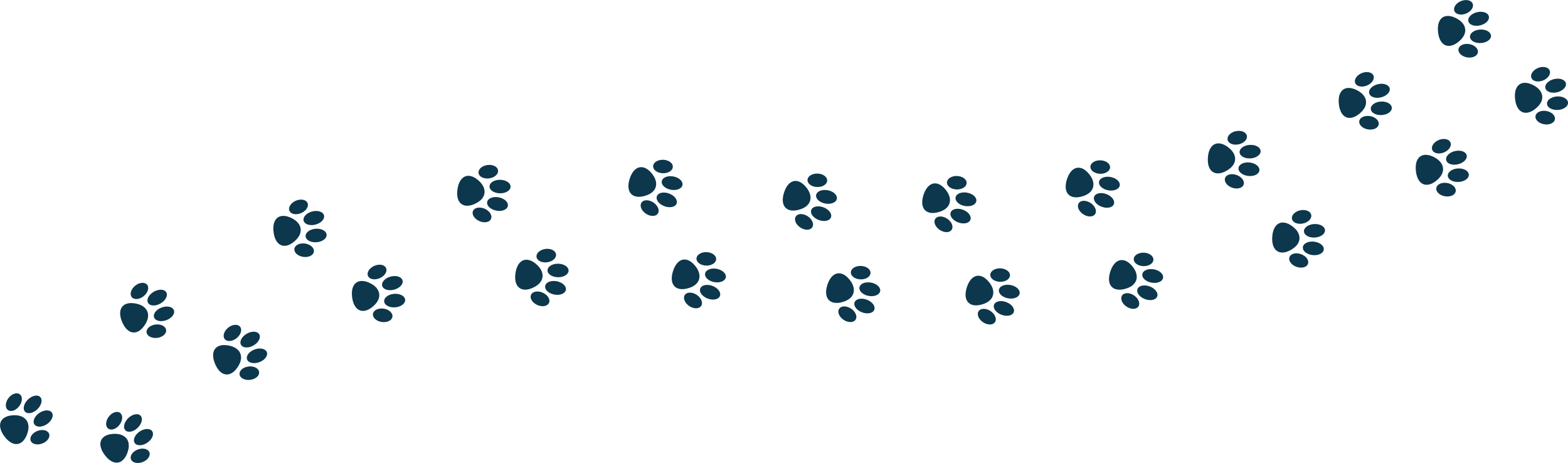 The Naughty Dog Logo